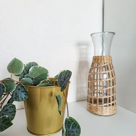 Centre Historique,5 Personnes, Wifi * Perpignan